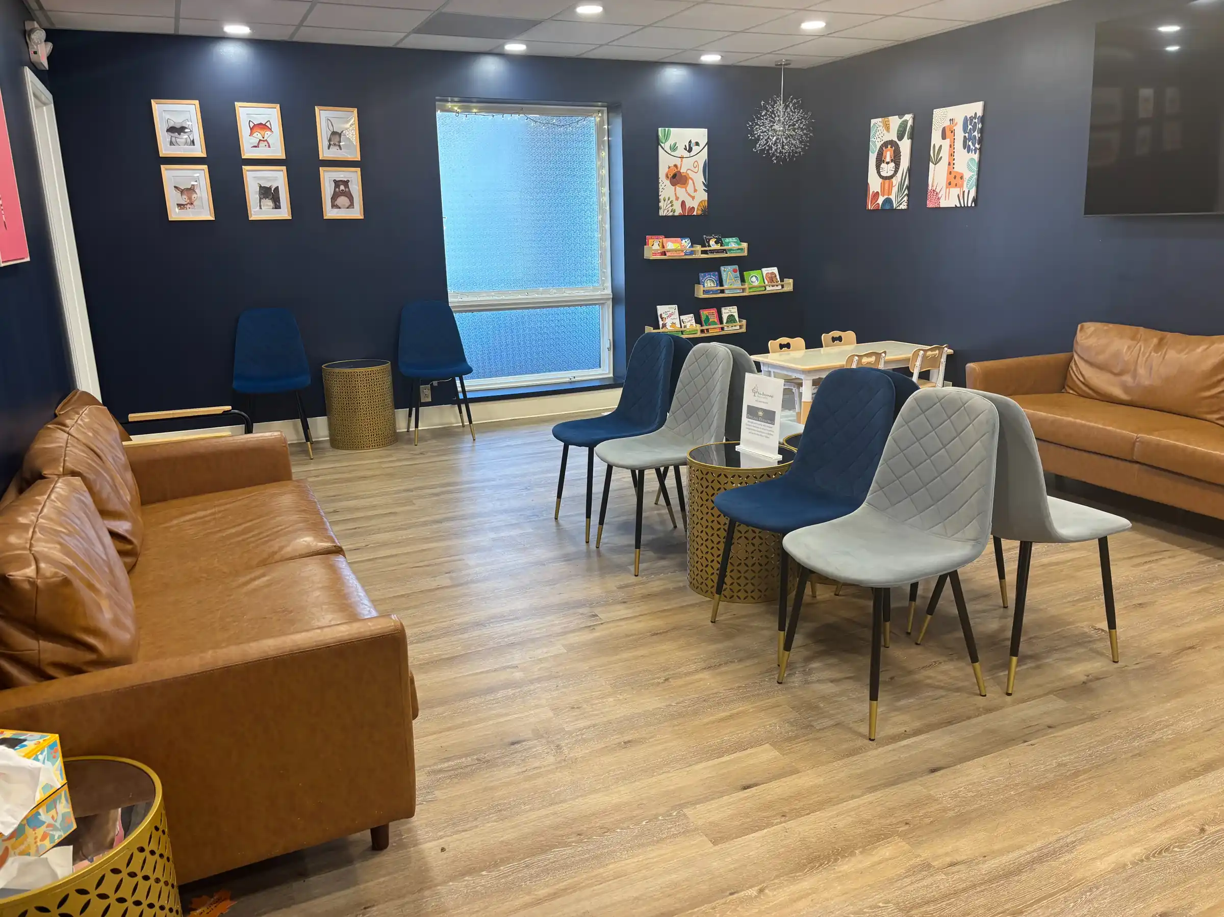 The Opulent Pediatrics waiting room in Blacksburg, VA